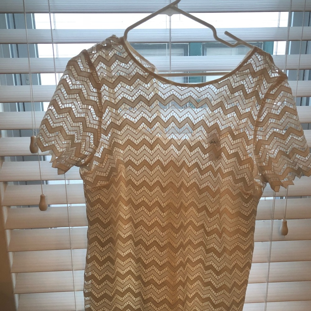 Brand new white lace dress from the Loft
